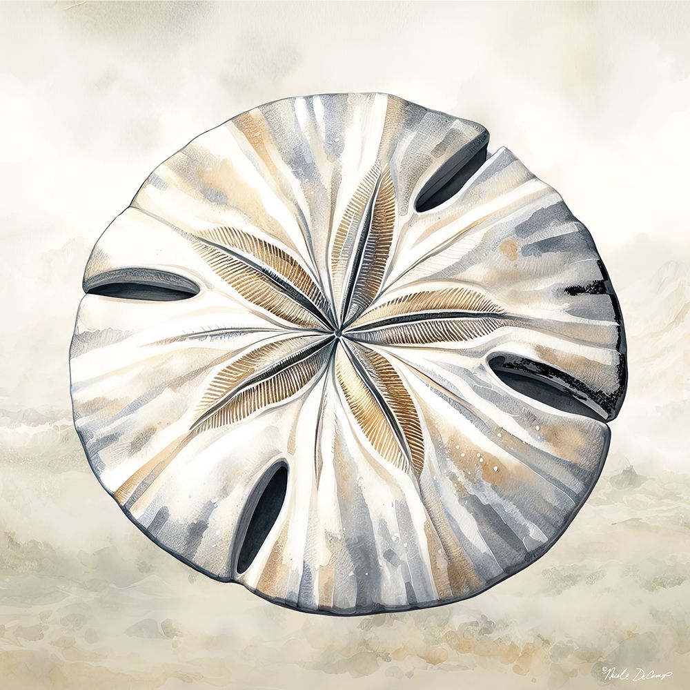 Cape Cod Sand Dollar art print by Nicole DeCamp for $57.95 CAD