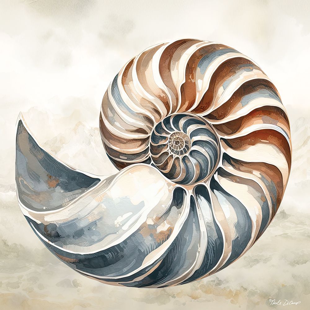 Cape Cod Shell art print by Nicole DeCamp for $57.95 CAD
