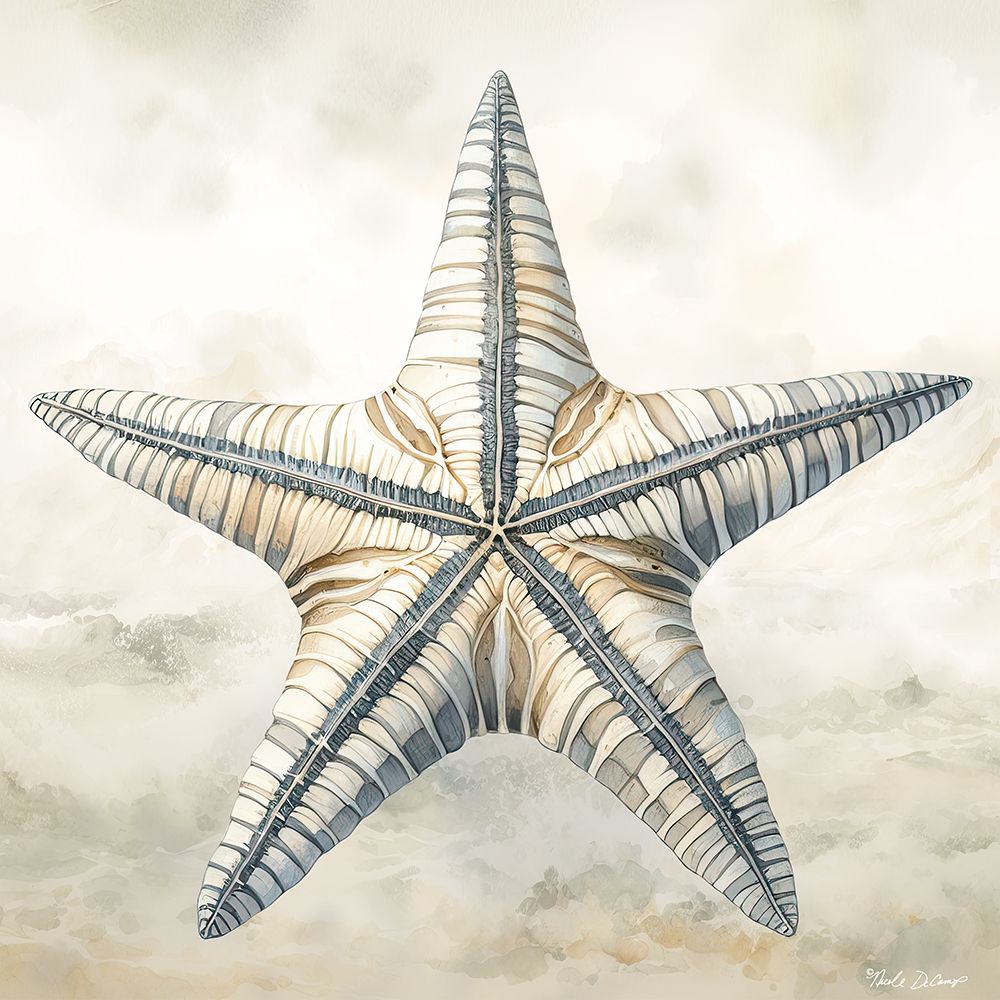 Cape Cod Starfish art print by Nicole DeCamp for $57.95 CAD