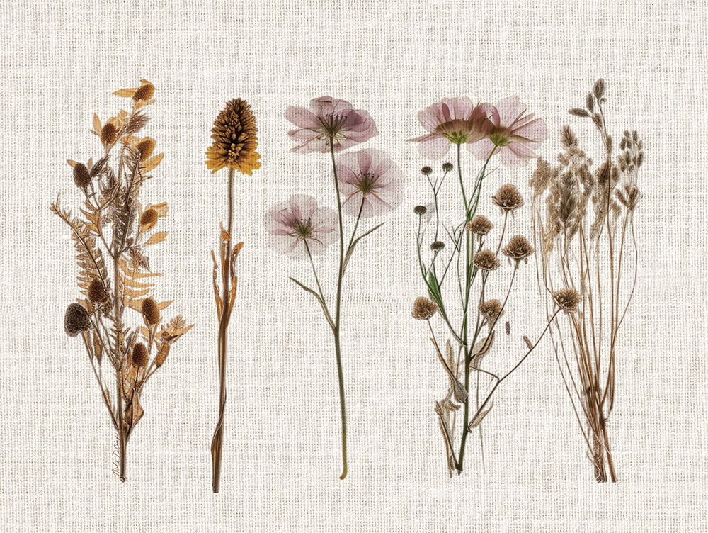 Pressed Flowers For You IV art print by Nicole DeCamp for $57.95 CAD