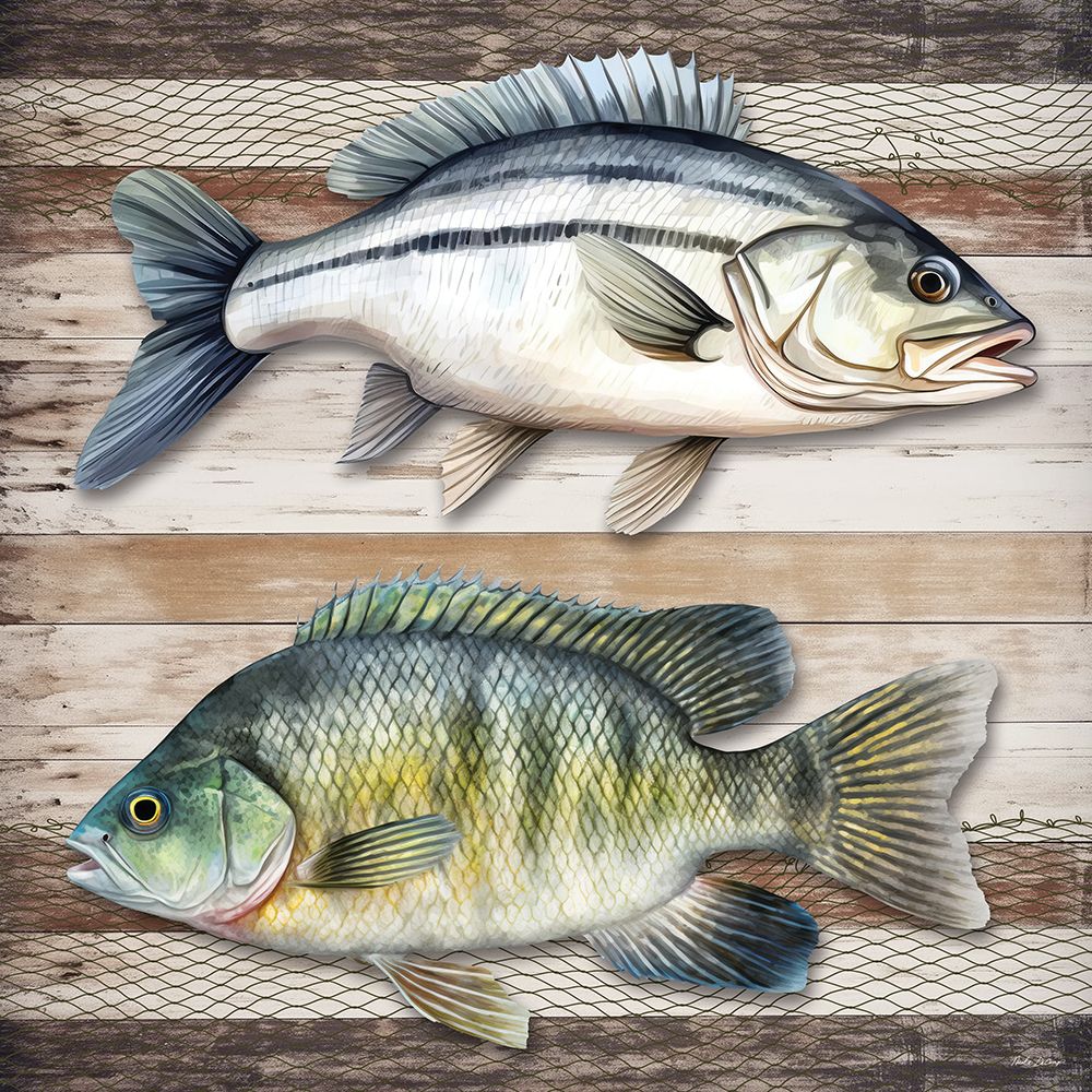 Lake Life Fish art print by Nicole DeCamp for $57.95 CAD