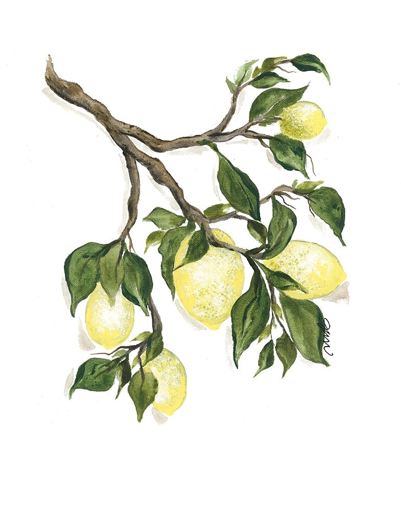 Squeeze the Day art print by Julie Norkus for $57.95 CAD