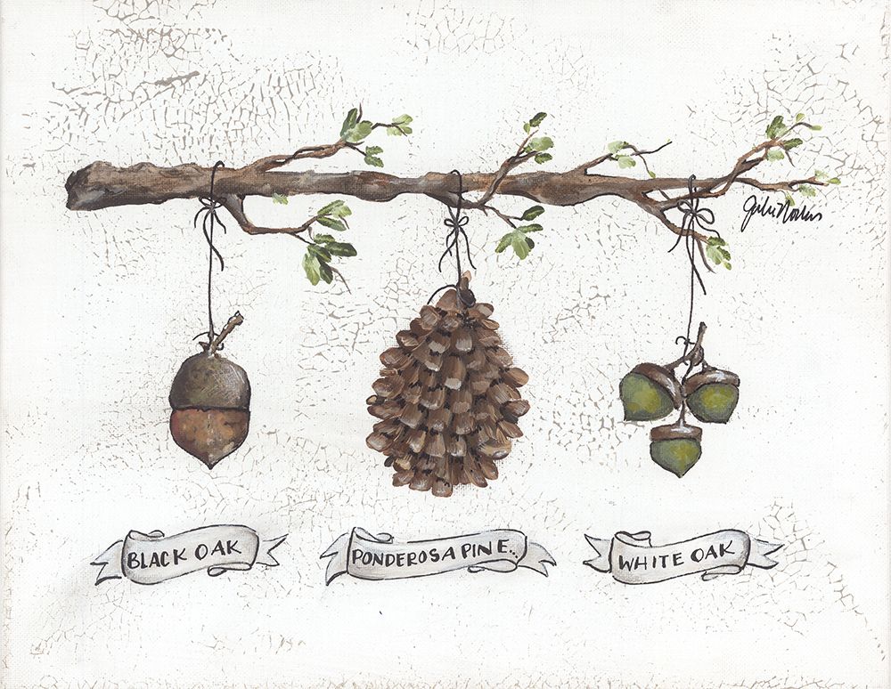 Pinecone Acorn Study art print by Julie Norkus for $57.95 CAD
