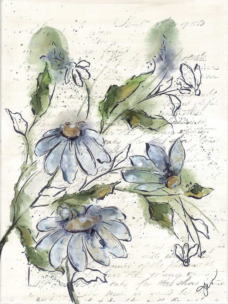 Daybreak Coneflower art print by Julie Norkus for $57.95 CAD