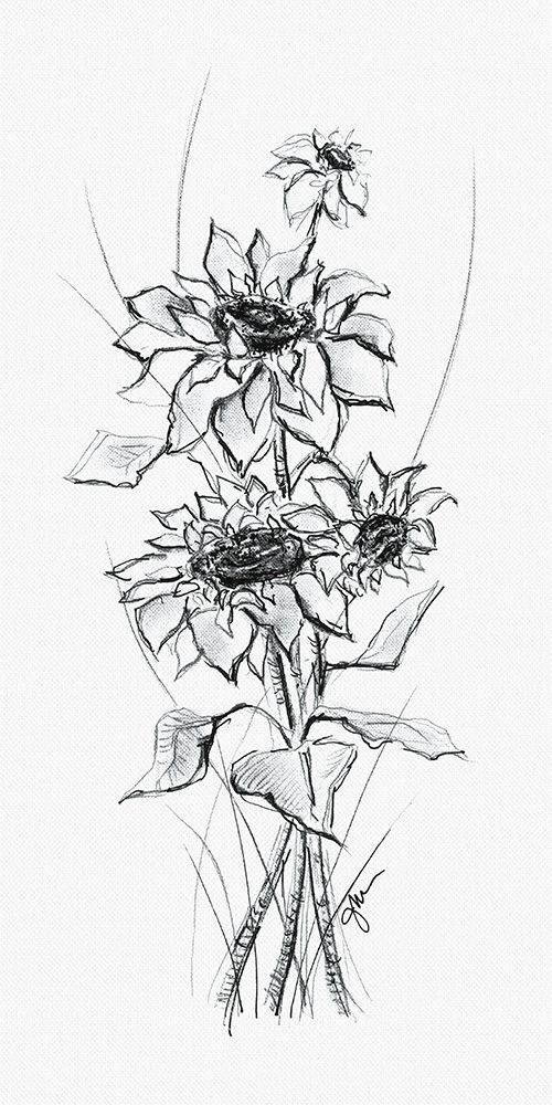 Sketchy Sunflower Bouquet art print by Julie Norkus for $57.95 CAD