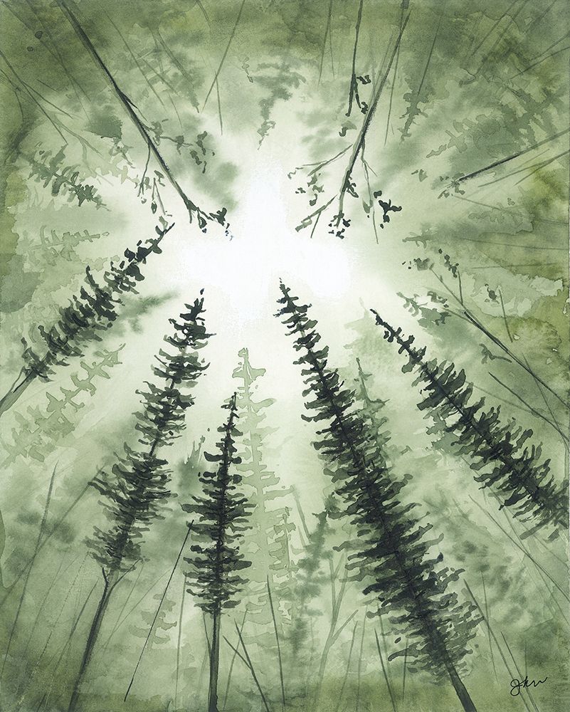 Morning Light art print by Julie Norkus for $57.95 CAD