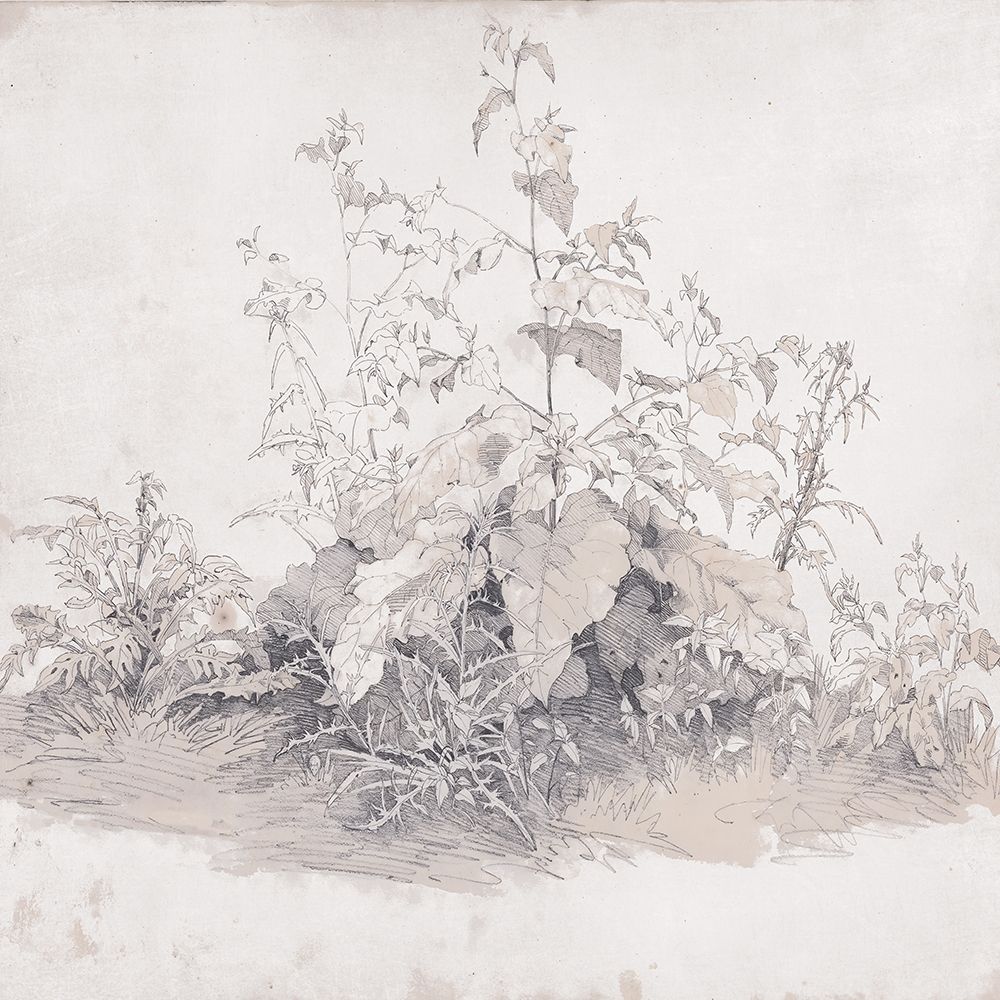 Line and Leaf art print by Lauren Rader for $57.95 CAD