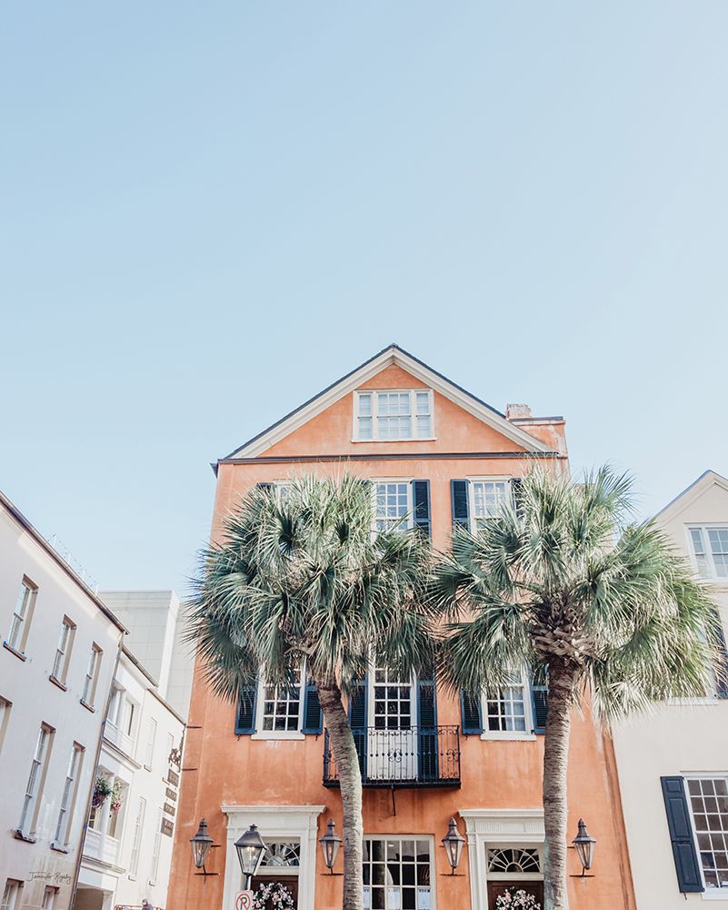 Charleston Palms art print by Jennifer Rigsby for $57.95 CAD