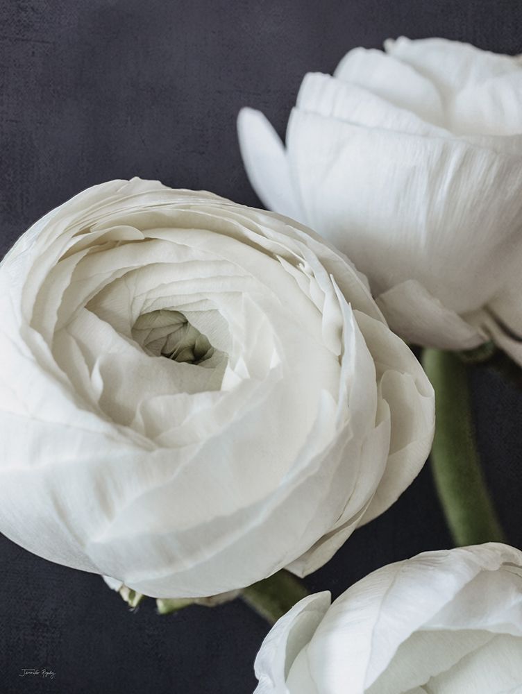 Refined Beauty II art print by Jennifer Rigsby for $57.95 CAD