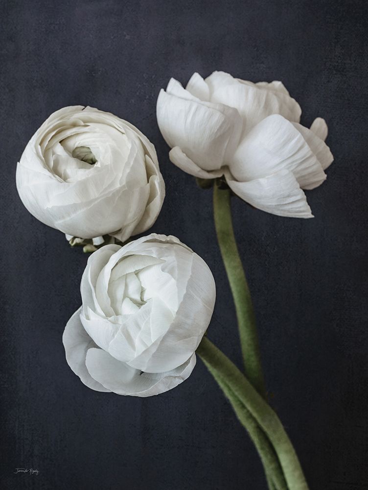 Refined Beauty III art print by Jennifer Rigsby for $57.95 CAD