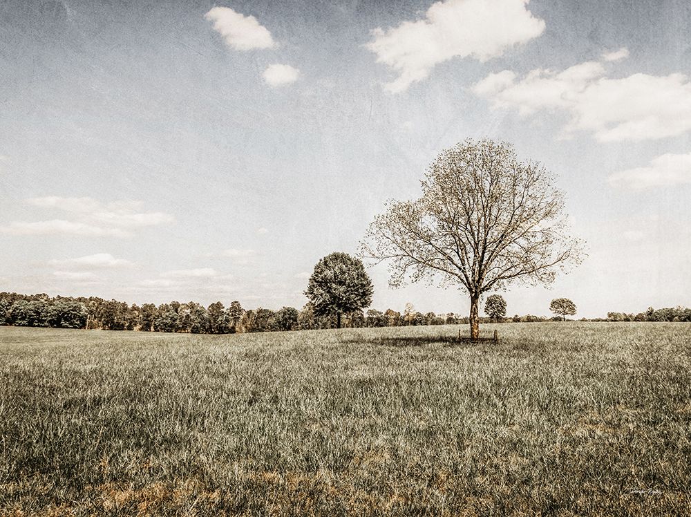 Together in the Fields I art print by Jennifer Rigsby for $57.95 CAD