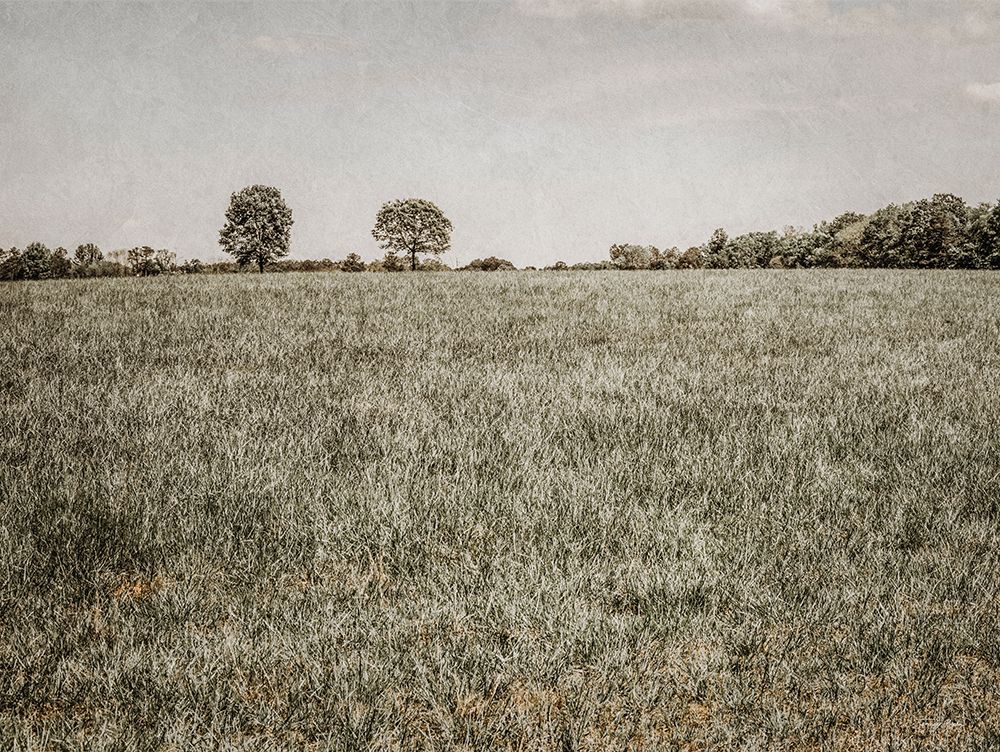 Together in the Fields II art print by Jennifer Rigsby for $57.95 CAD