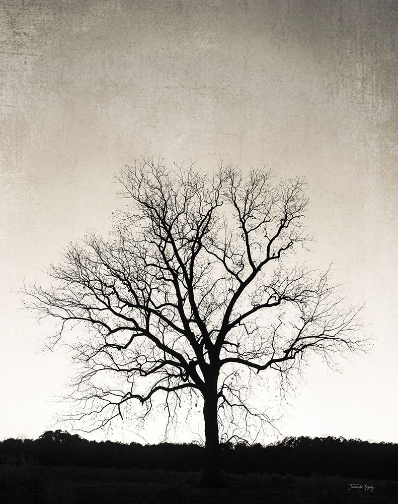 Under Heaven art print by Jennifer Rigsby for $57.95 CAD