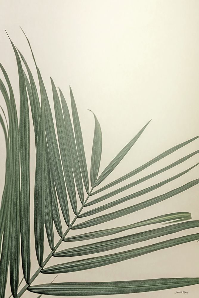 Golden Hour Palm art print by Jennifer Rigsby for $57.95 CAD