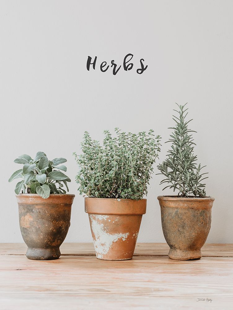 Farmhouse Herbs II art print by Jennifer Rigsby for $57.95 CAD