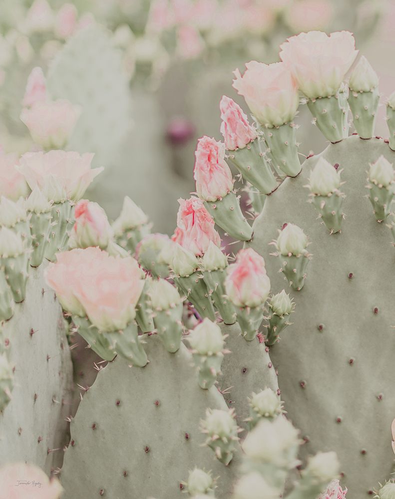 Blooms Abound I art print by Jennifer Rigsby for $57.95 CAD