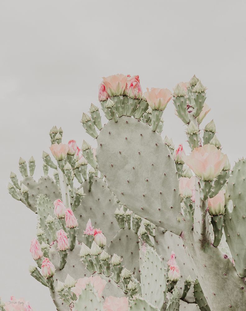 Blooms Abound II art print by Jennifer Rigsby for $57.95 CAD