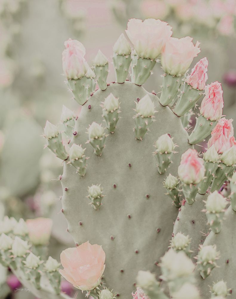 Blooms Abound III art print by Jennifer Rigsby for $57.95 CAD