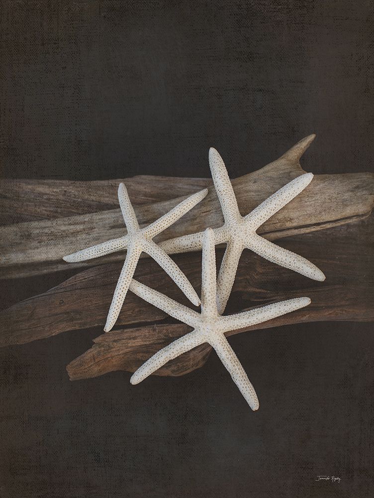 Vintage Sea I art print by Jennifer Rigsby for $57.95 CAD