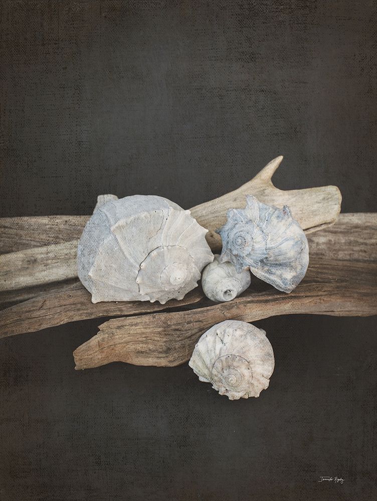 Vintage Sea III art print by Jennifer Rigsby for $57.95 CAD
