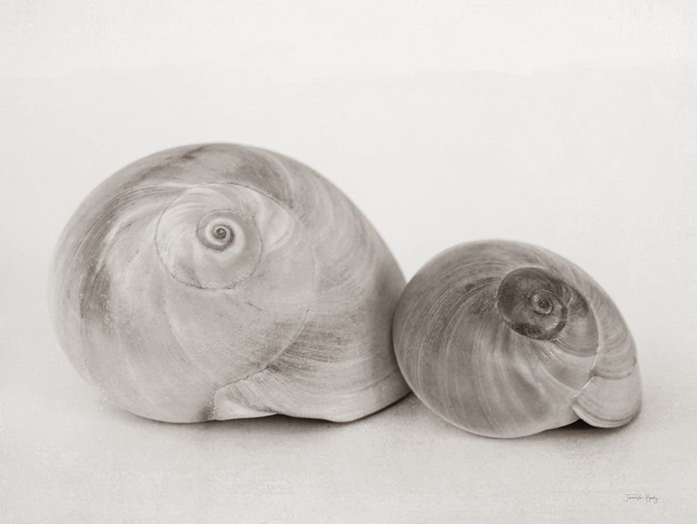 Vintage Muffin Shells art print by Jennifer Rigsby for $57.95 CAD