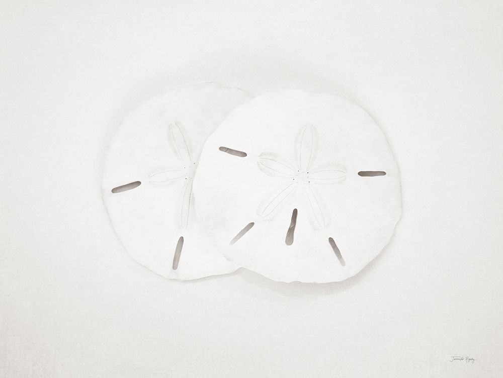 Vintage Sand Dollars art print by Jennifer Rigsby for $57.95 CAD