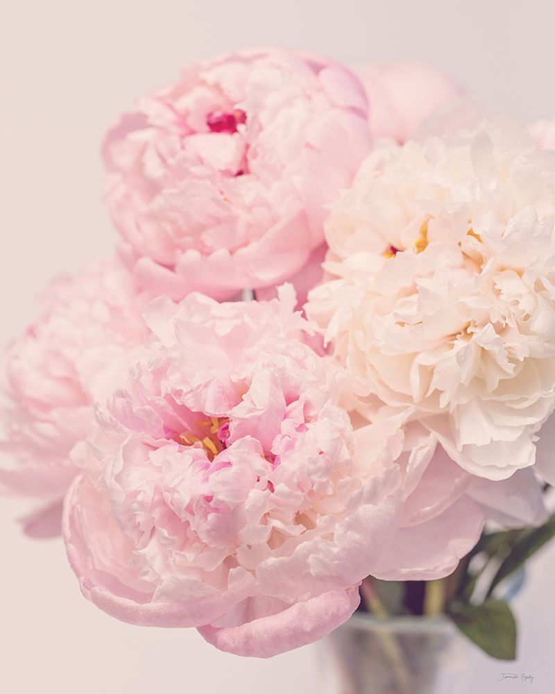 Petals of Promise I art print by Jennifer Rigsby for $57.95 CAD