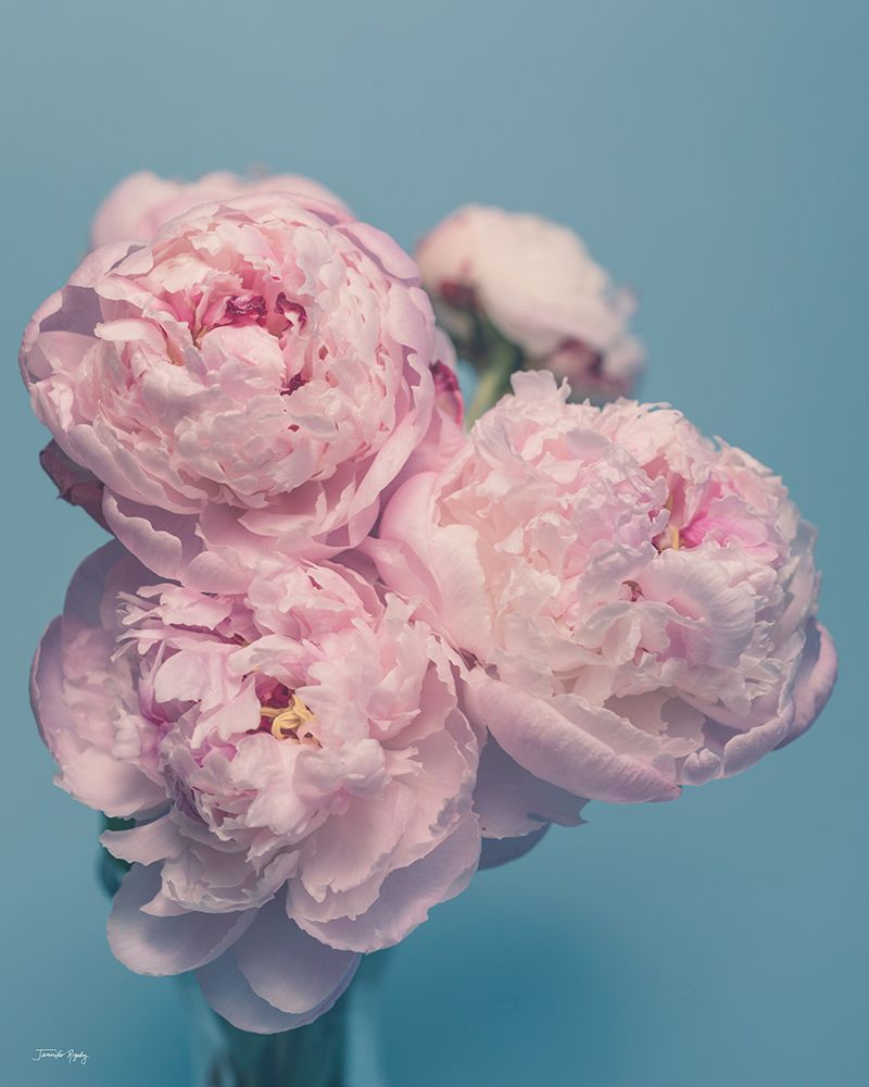 Petals of Promise II art print by Jennifer Rigsby for $57.95 CAD