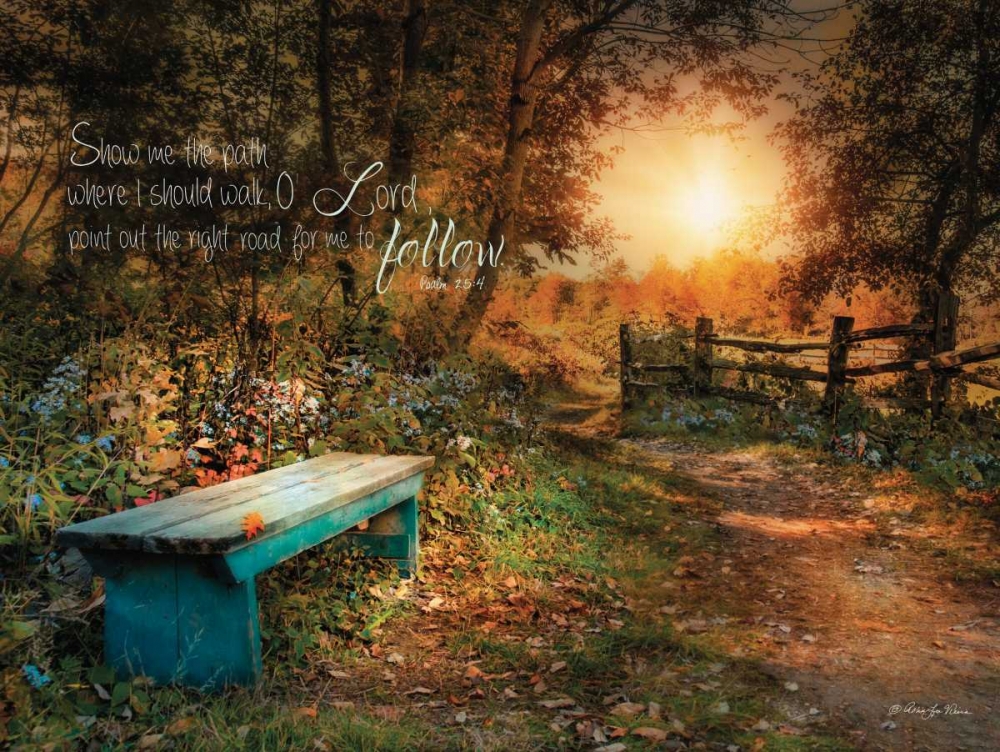 Show Me the Path art print by Robin-Lee Vieira for $57.95 CAD