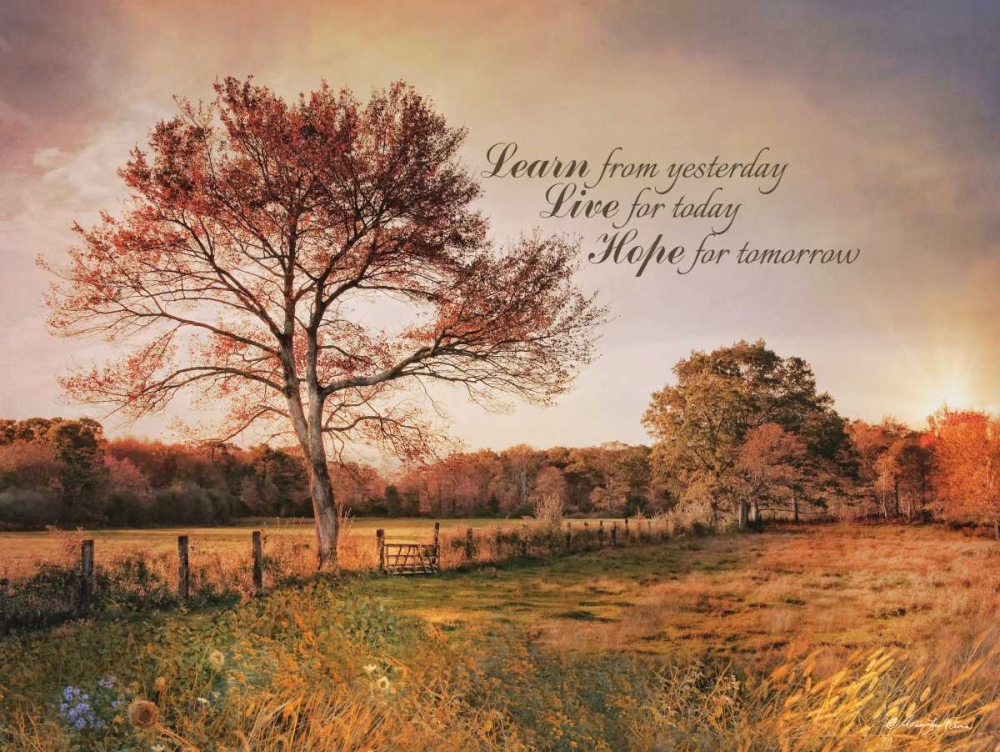 Learn from Yesterday art print by Robin-Lee Vieira for $57.95 CAD