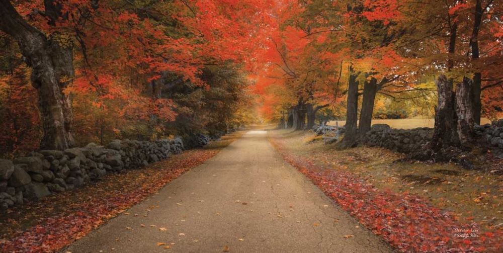 October Lane art print by Robin-Lee Vieira for $57.95 CAD