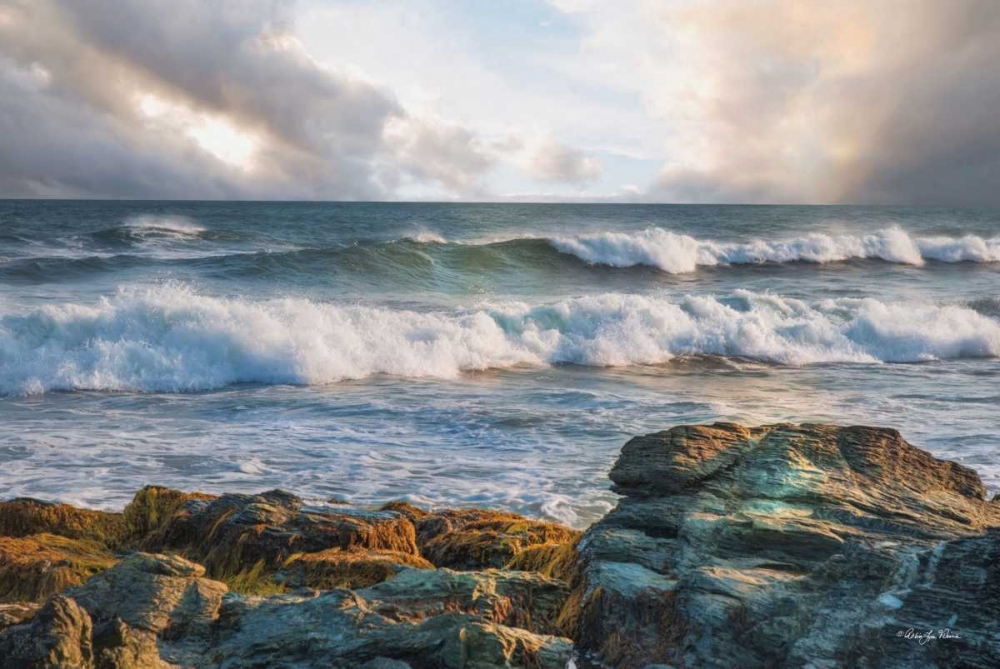 The Clearing art print by Robin-Lee Vieira for $57.95 CAD