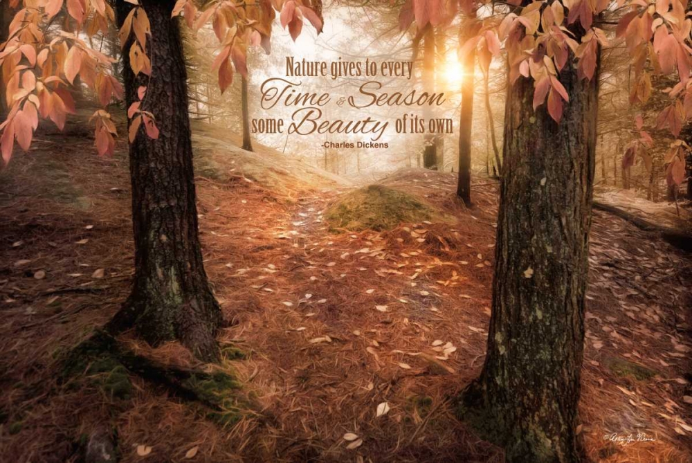 Natures Gift art print by Robin-Lee Vieira for $57.95 CAD