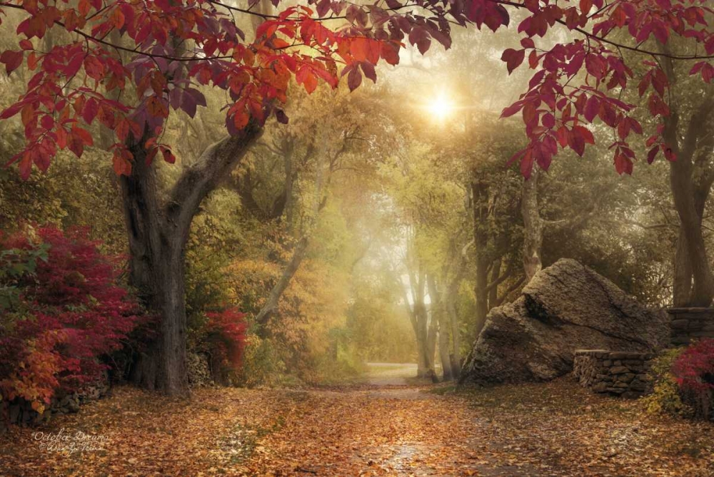 October Dreams art print by Robin-Lee Vieira for $57.95 CAD