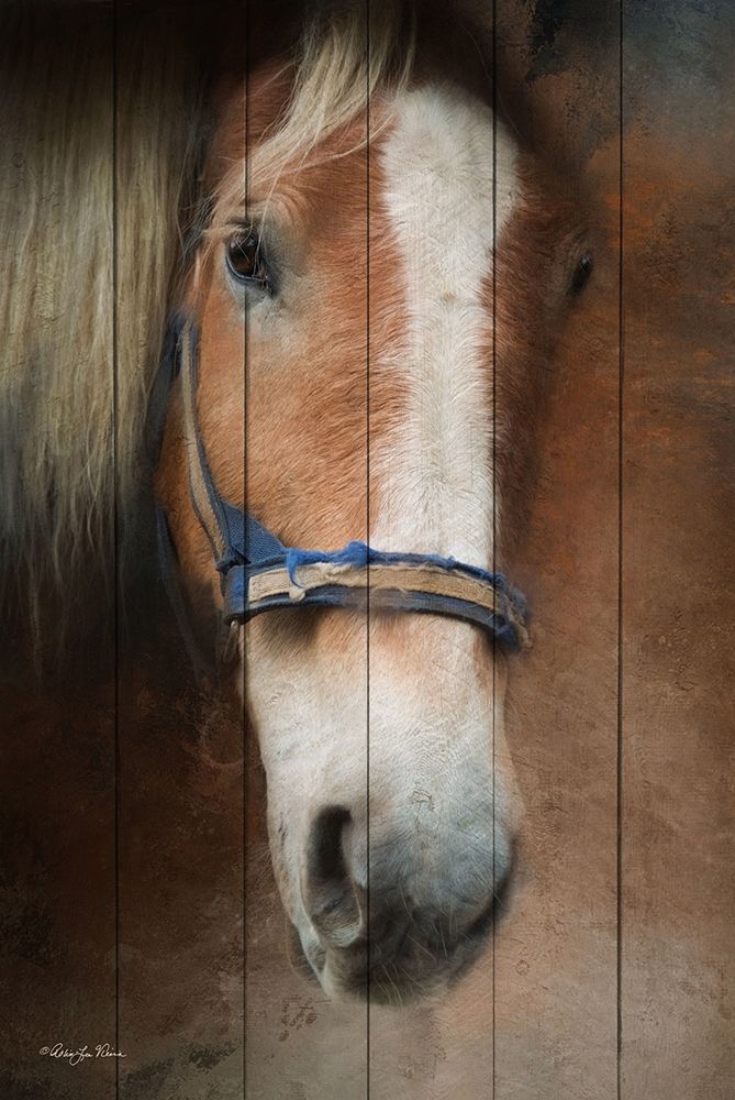 Blaze art print by Robin-Lee Vieira for $57.95 CAD