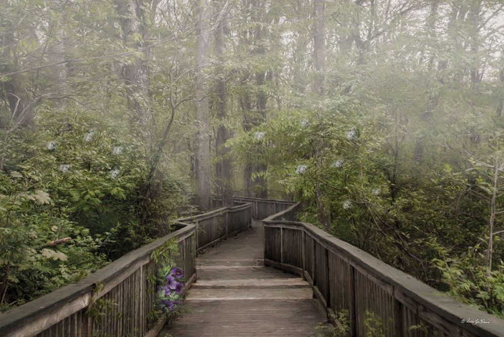 Misty Woodland art print by Robin-Lee Vieira for $57.95 CAD
