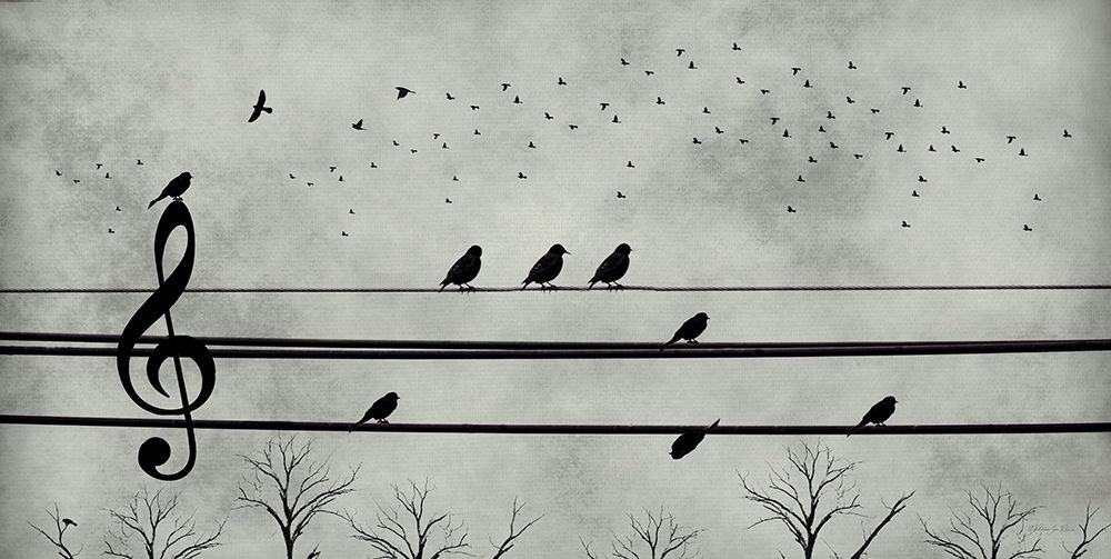 Song Before Sunset art print by Robin-Lee Vieira for $57.95 CAD
