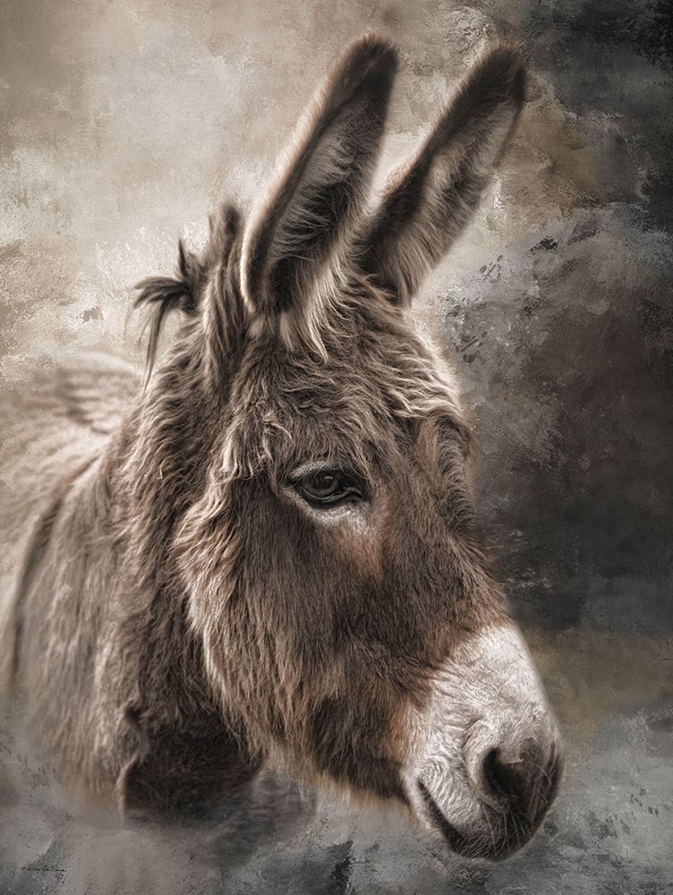 All Ears art print by Robin-Lee Vieira for $57.95 CAD
