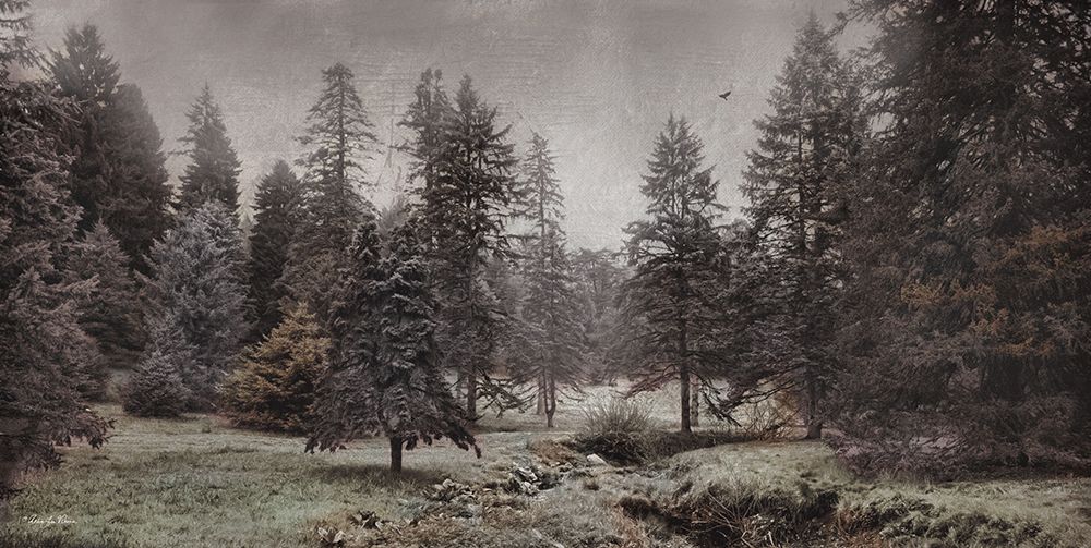 Conifer Meadow art print by Robin-Lee Vieira for $57.95 CAD