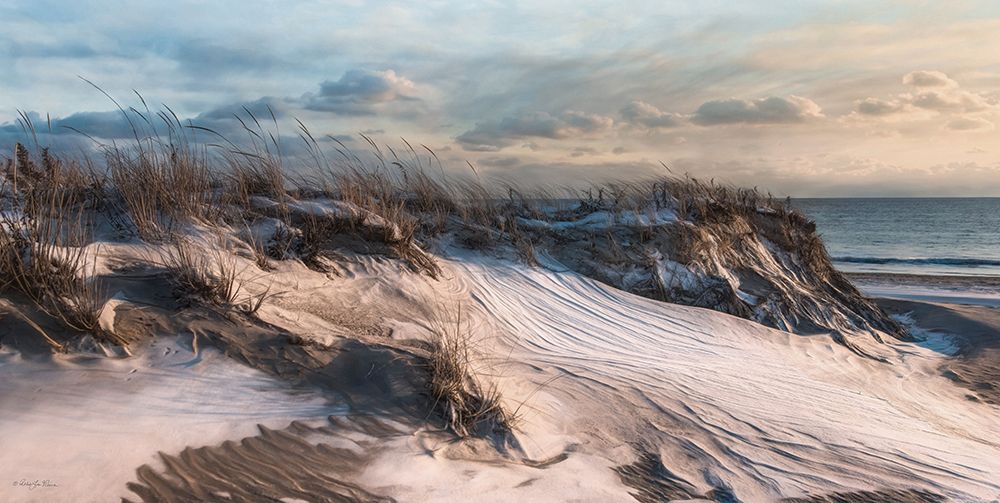 Windswept art print by Robin-Lee Vieira for $57.95 CAD