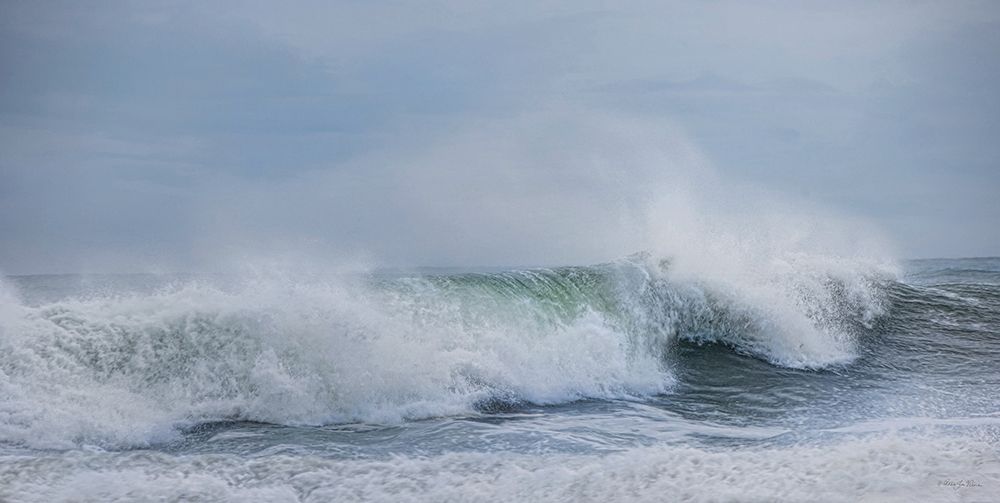 Rolling In art print by Robin-Lee Vieira for $57.95 CAD