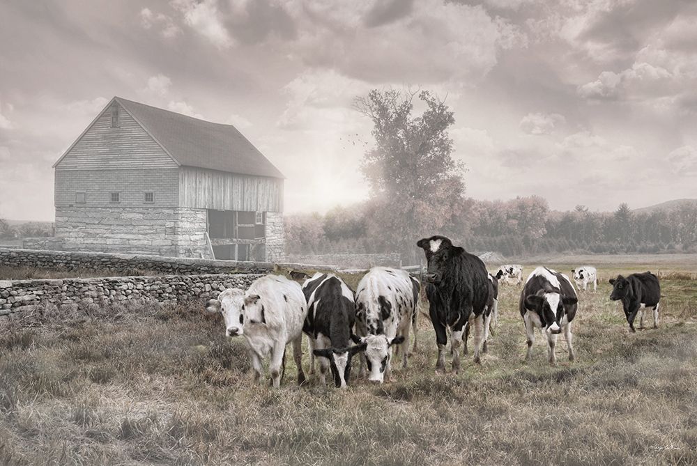 Misty Morning Moo art print by Robin-Lee Vieira for $57.95 CAD