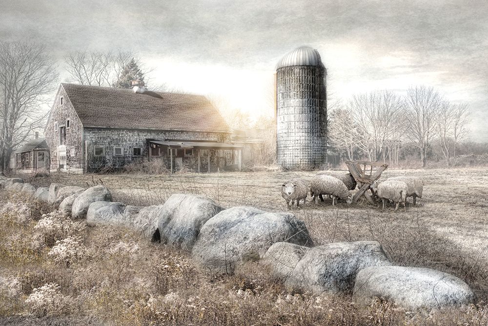 Weeds and Wool art print by Robin-Lee Vieira for $57.95 CAD