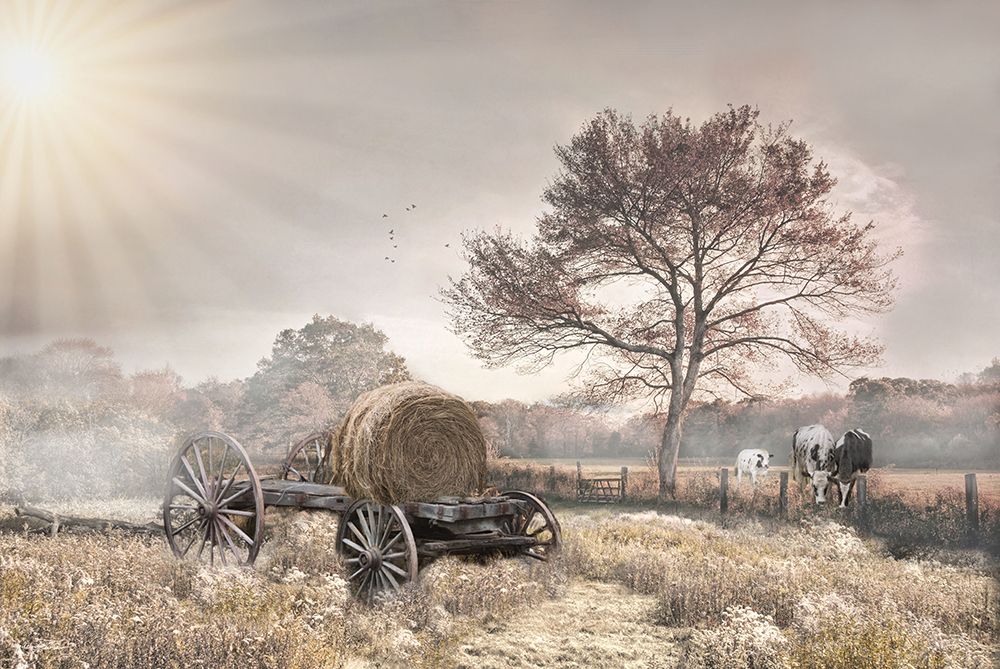The Old Hay Wagon art print by Robin-Lee Vieira for $57.95 CAD