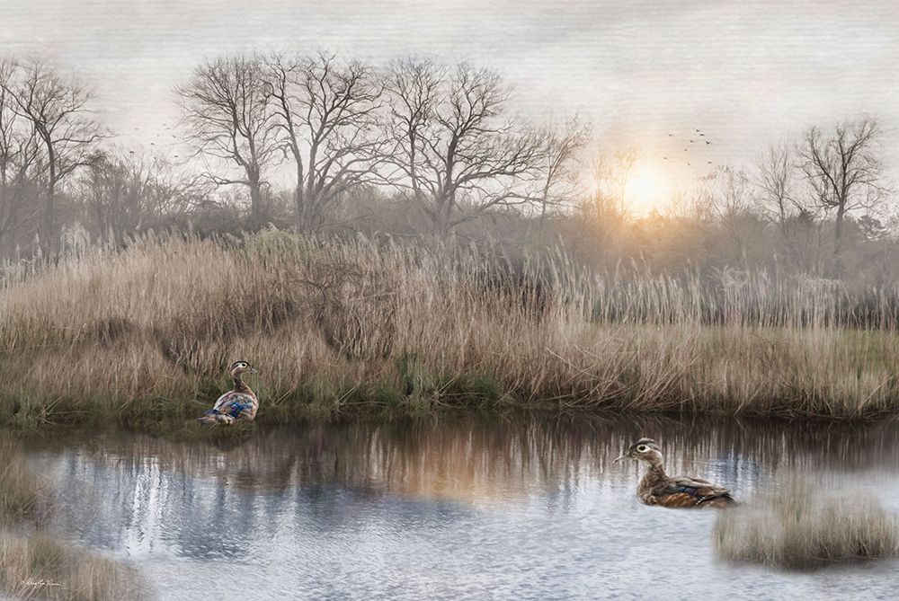 Stillness on the Water art print by Robin-Lee Vieira for $57.95 CAD