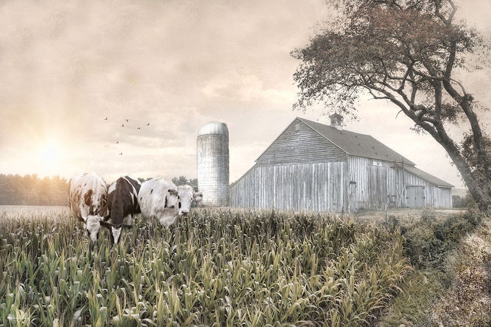 Cows in the Corn art print by Robin-Lee Vieira for $57.95 CAD