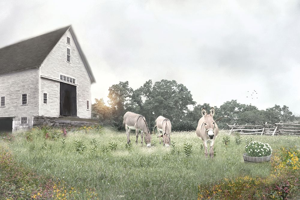 Donkey Days art print by Robin-Lee Vieira for $57.95 CAD