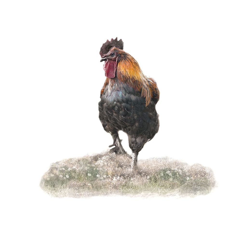 Stepping Out art print by Robin-Lee Vieira for $57.95 CAD