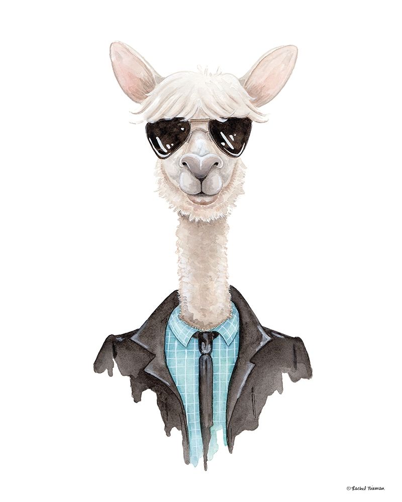 Alpaca in Aviators art print by Rachel Nieman for $57.95 CAD