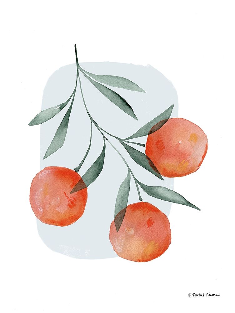 Summer Orange art print by Rachel Nieman for $57.95 CAD
